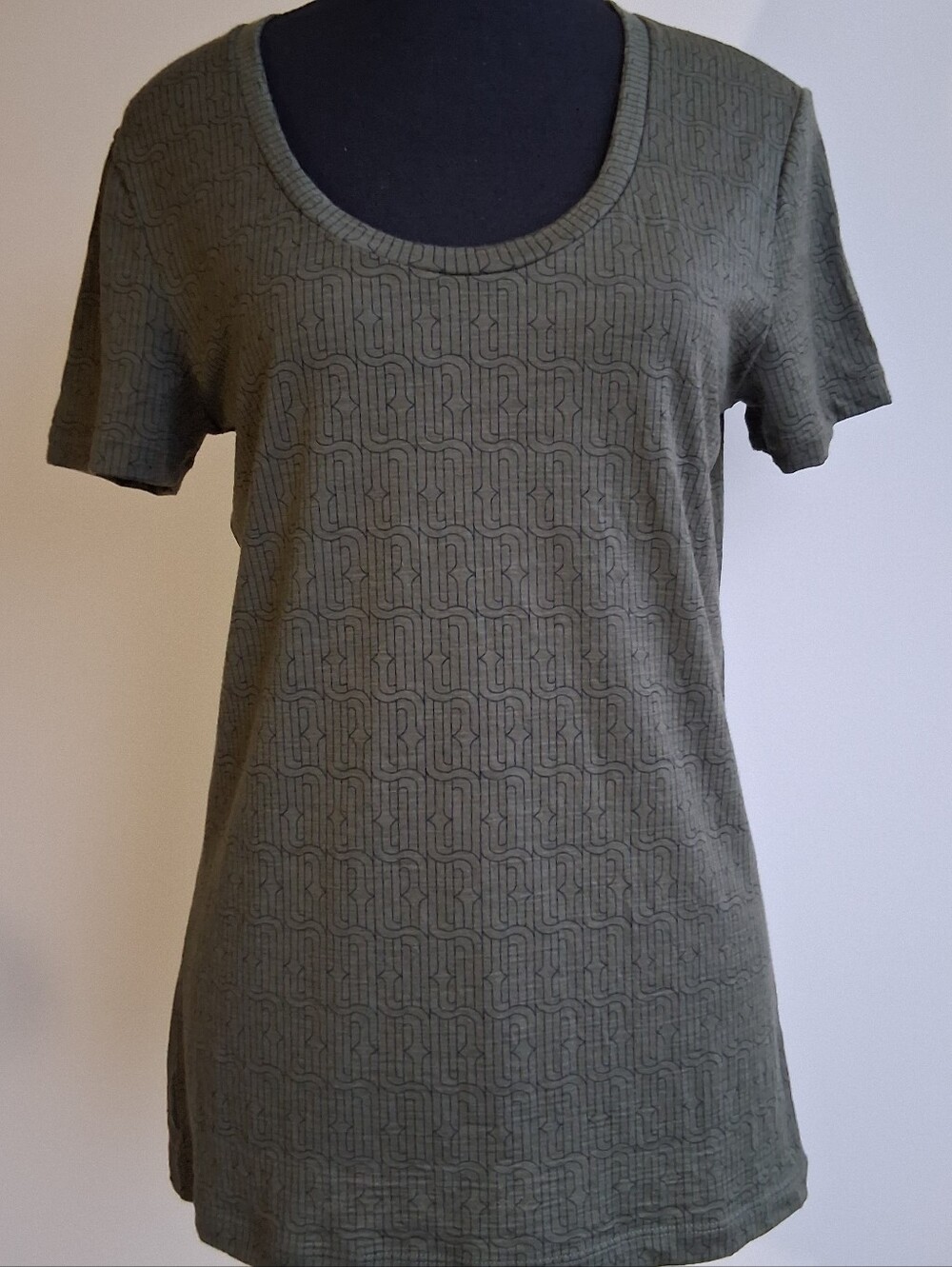 Icebreaker 150 TECH LITE II Grqphic Print T-shirt Olive Green Small Like New